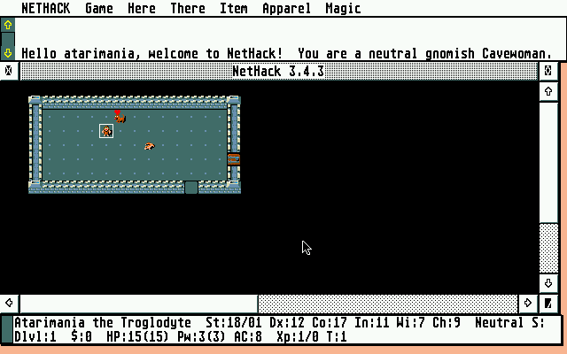Nethack atari screenshot